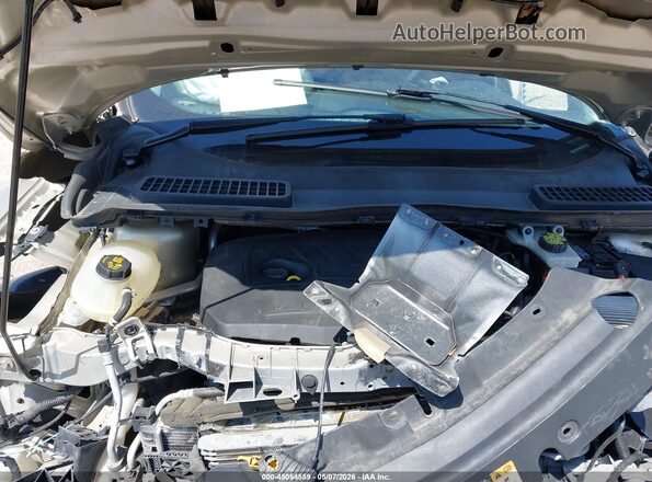 1FMCU0GD7HUB87568 2017 FORD ESCAPE Beige უკანა ხედი