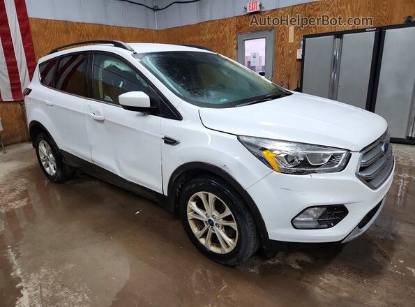 1FMCU0GD7HUC76900 2017 FORD ESCAPE White 