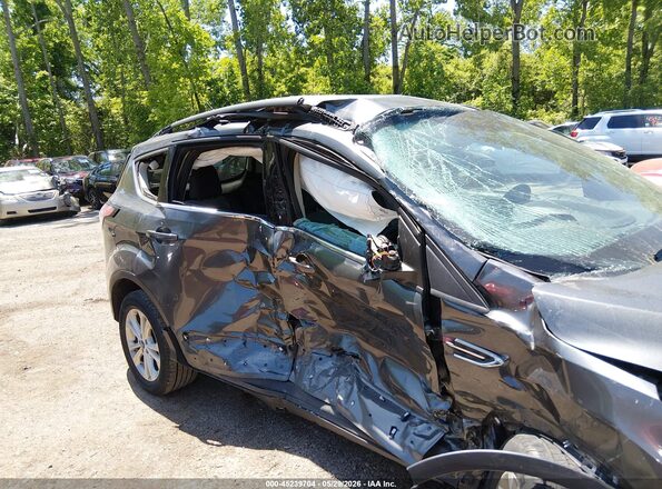 1FMCU0GD7HUD26551 2017 FORD ESCAPE Gray Widok wnętrza z tyłu