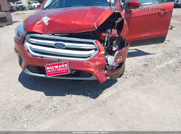 1FMCU0GD7KUB68493 2019 FORD ESCAPE Orange წინა ხედი