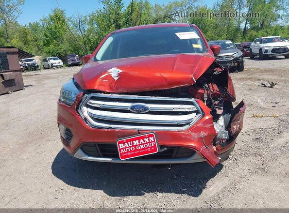 1FMCU0GD7KUB68493 2019 FORD ESCAPE Orange ხელსაწყოთა პანელის ხედი