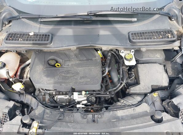 1FMCU0GD9HUE89699 2017 FORD ESCAPE Серый Вид сзади