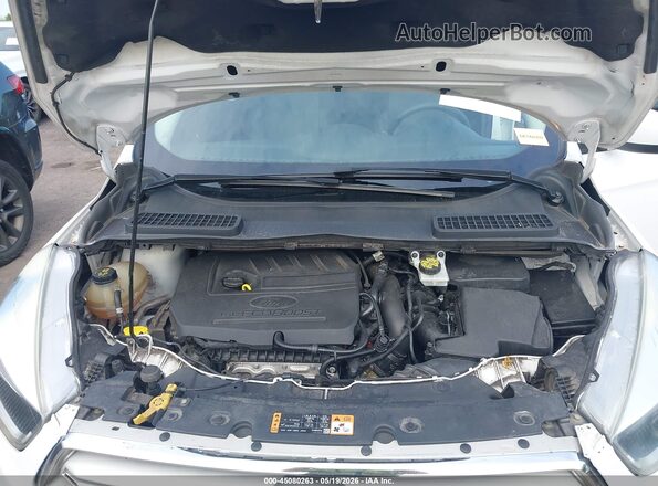 1FMCU0GD9JUB61771 2018 FORD ESCAPE White Widok z tyłu