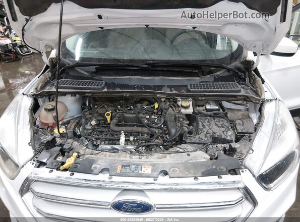 1FMCU0GD9KUA17655 2019 FORD ESCAPE White Widok z tyłu