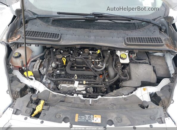 1FMCU0GD9KUB65286 2019 FORD ESCAPE White Вид ззаду
