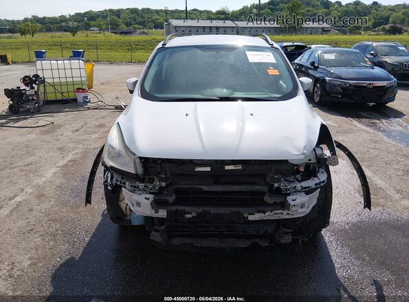 1FMCU0GX7GUC11005 2016 FORD ESCAPE White 
