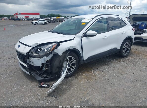 1FMCU0H62LUA80811 2020 FORD ESCAPE White Vista tres cuartos delantera izquierda