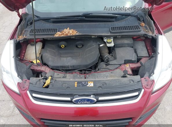 1FMCU0J96GUB89461 2016 FORD ESCAPE Red უკანა ხედი