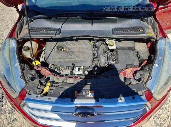 1FMCU0JD6HUA14178 2017 FORD ESCAPE Red 