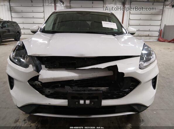 1FMCU9BZ2MUB13685 2021 FORD ESCAPE White Դիմացի տեսք