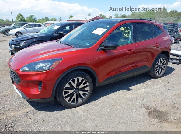1FMCU9BZ3LUB11958 2020 FORD ESCAPE Оранжевый 
