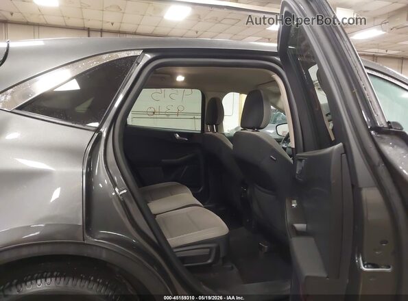 1FMCU9G67LUC28019 2020 FORD ESCAPE Серый Вид наклейки с VIN-кодом