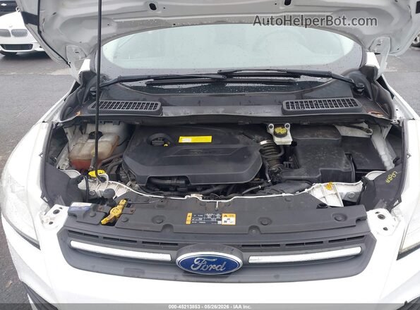 1FMCU9GX9GUC76166 2016 FORD ESCAPE Белый Вид сзади