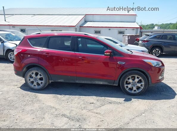 1FMCU9JX3GUB80493 2016 FORD ESCAPE Красный Вид задней части салона