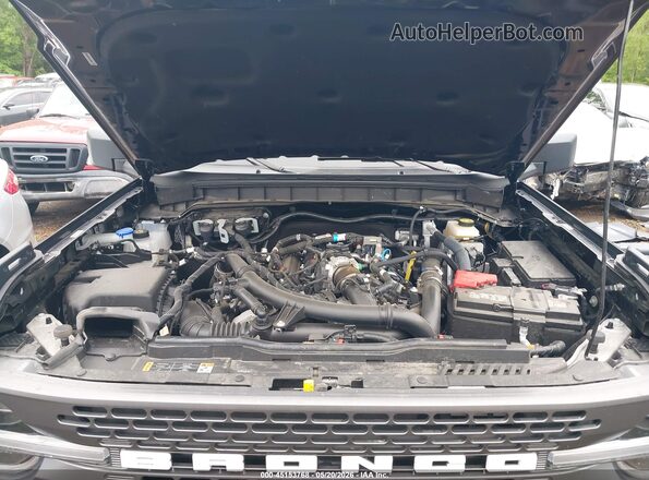 1FMEE9BP8RLA54966 2024 FORD BRONCO Black Widok z tyłu