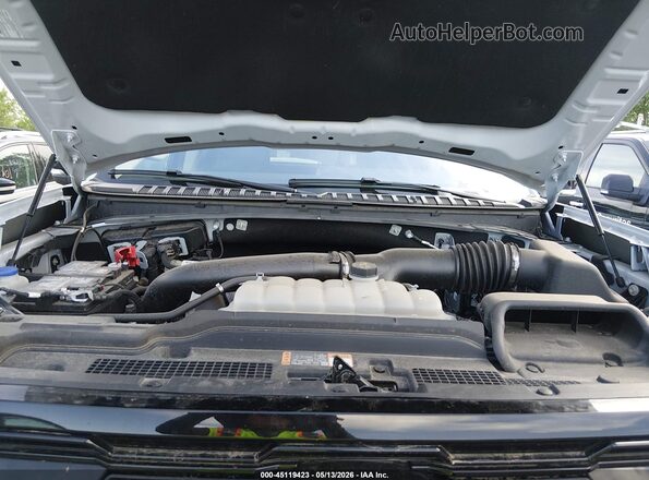 1FMJK1M89SEA22181 2025 FORD EXPEDITION White Widok z tyłu