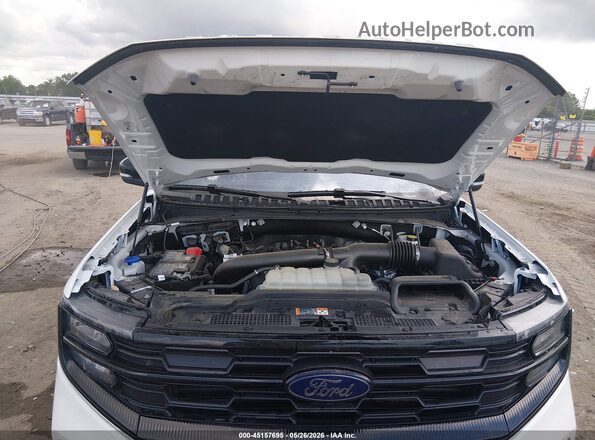 1FMJU1H86SEA28203 2025 FORD EXPEDITION Белый Вид сзади