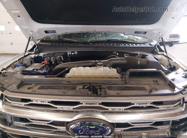 1FMJU1M83REA54497 2024 FORD EXPEDITION White Вид ззаду