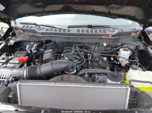 1FT7W2BA2REF65283 2024 FORD F-250 Gray Widok z tyłu