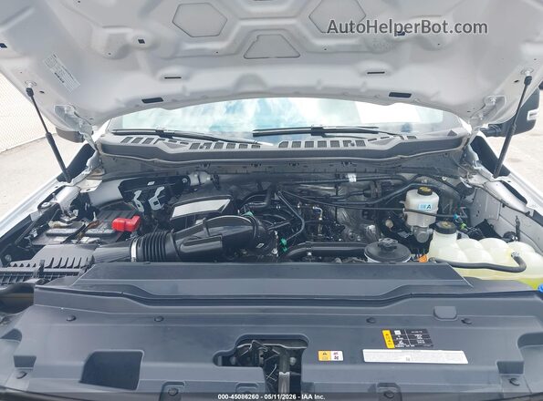 1FT7W2BN6REF94434 2024 FORD F-250 White Widok z tyłu