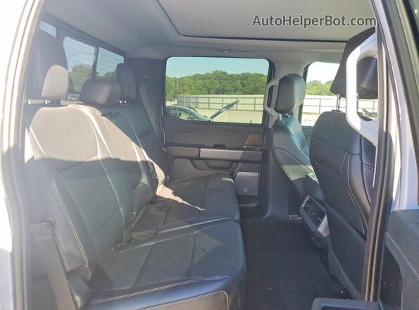 1FT7W2BN8REF05415 2024 FORD F250 Gray უკანა სავარძლების ხედი