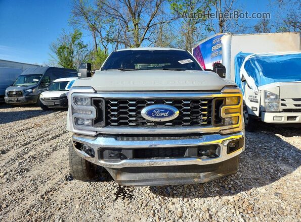 1FT8W4DM2SED13000 2025 FORD F450 Gray წინა ხედი