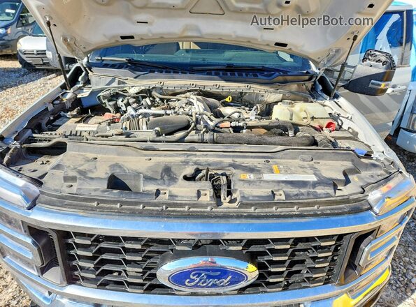 1FT8W4DM2SED13000 2025 FORD F450 Gray უკანა სალონის ხედი
