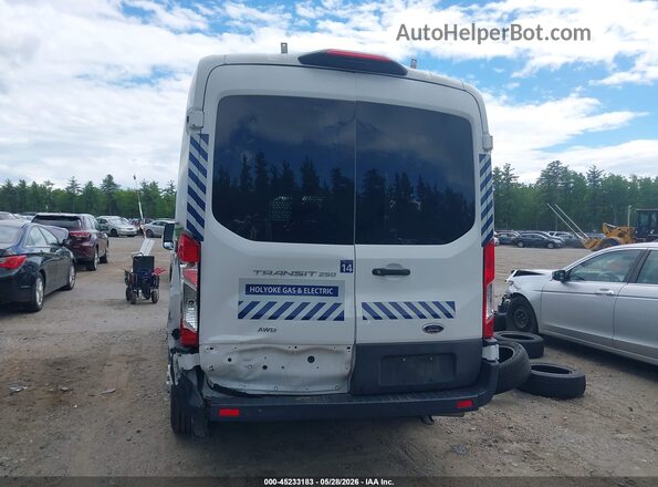 1FTBR2C83PKA52992 2023 FORD TRANSIT-250 Белый 