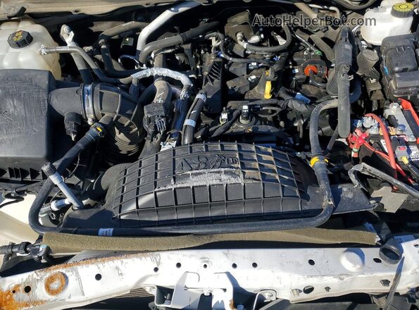 1FTER1FH7MLD69098 2021 FORD RANGER Белый Вид задней части салона