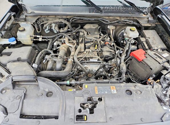 1FTER4GH1RLE03673 2024 FORD RANGER Черный Вид задней части салона