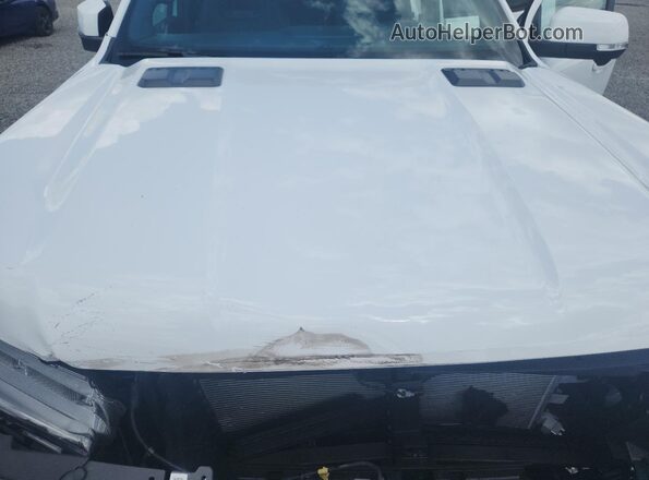 1FTER4LR2RLE63671 2024 FORD RANGER Белый 