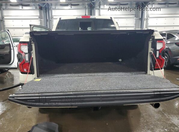 1FTER4LR3SLE39076 2025 FORD RANGER Кремовый Вид сзади