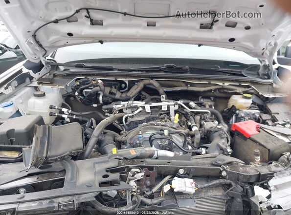 1FTER4PH1SLE74569 2025 FORD RANGER White Widok z tyłu