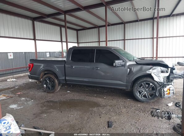 1FTEW1C54MFA59427 2021 FORD F150 Gray უკანა სალონის ხედი