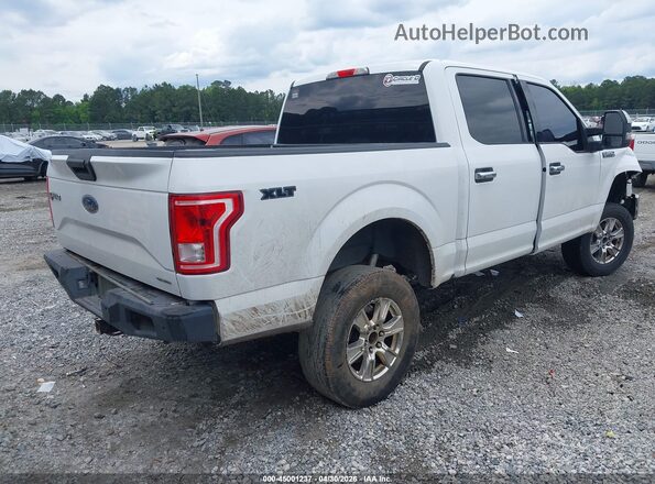 1FTEW1CF1GFA15740 2016 FORD F150 White Rear right