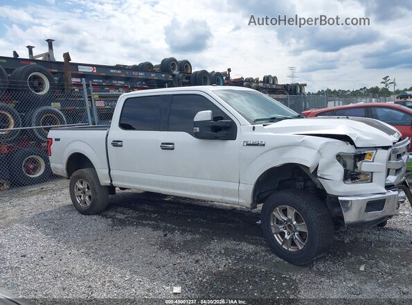 1FTEW1CF1GFA15740 2016 FORD F150 White Rear interior view