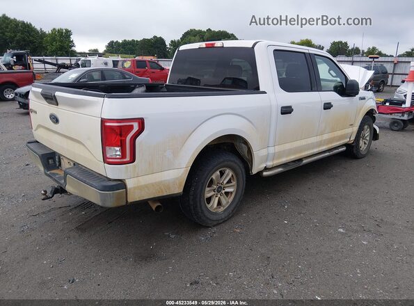 1FTEW1CG6GFB55971 2016 FORD F150 White უკანა მარჯვენა