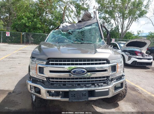 1FTEW1CP0KFB33683 2019 FORD F150 Коричневый Вид спереди