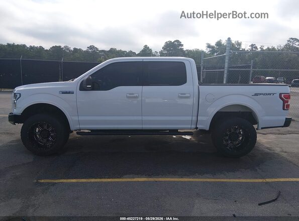 1FTEW1CP2JKF11959 2018 FORD F150 Белый Панорамный вид салона 360°
