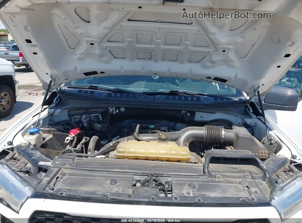 1FTEW1CP2LKE35601 2020 FORD F150 White უკანა ხედი