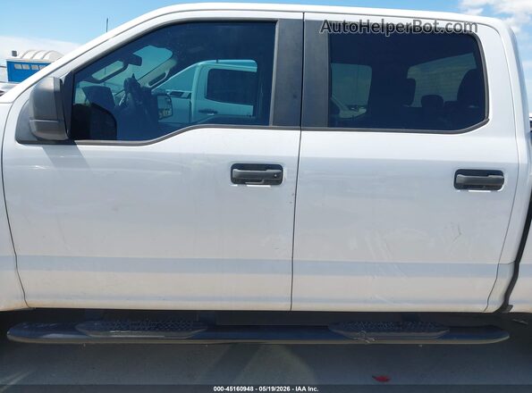 1FTEW1CP2LKE35601 2020 FORD F150 White სალონის 360-გრადუსიანი ხედი
