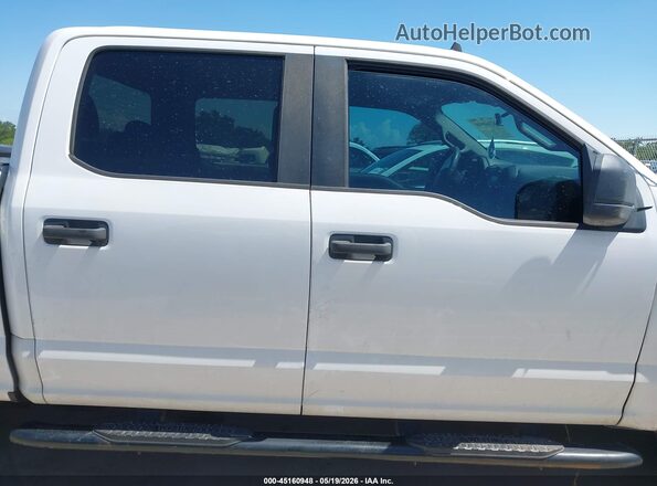 1FTEW1CP2LKE35601 2020 FORD F150 White უკანა სალონის ხედი