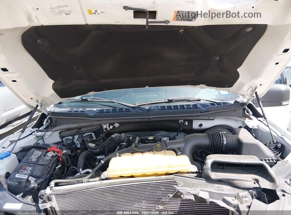 1FTEW1CP2LKF18252 2020 FORD F150 White Հետևի տեսք