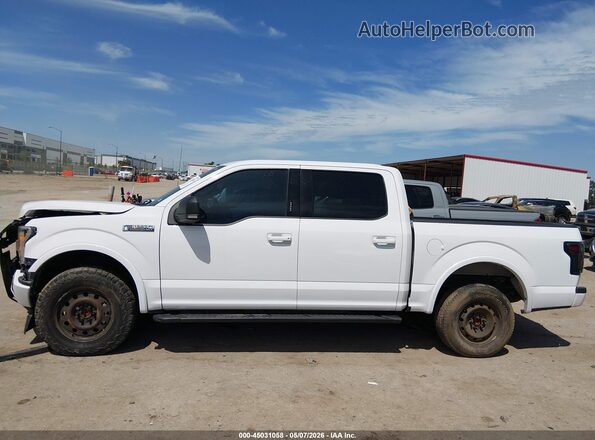 1FTEW1CP2LKF18252 2020 FORD F150 White Սալոնի 360 աստիճան տեսք