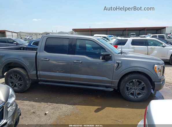 1FTEW1CP3PKF35177 2023 FORD F150 Gray Widok wnętrza z tyłu