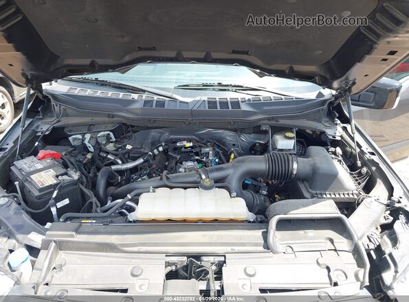 1FTEW1CP3PKF35177 2023 FORD F150 Gray Widok z tyłu