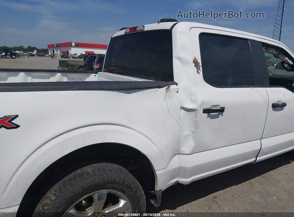 1FTEW1CP4PKD40480 2023 FORD F150 Белый Вид задней части салона