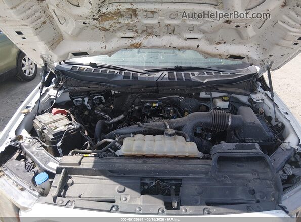 1FTEW1CP4PKD40480 2023 FORD F150 Белый Вид сзади