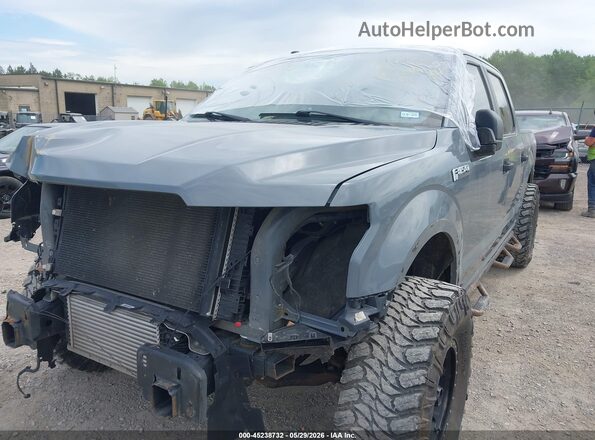 1FTEW1CP6KKE04009 2019 FORD F150 Серый 