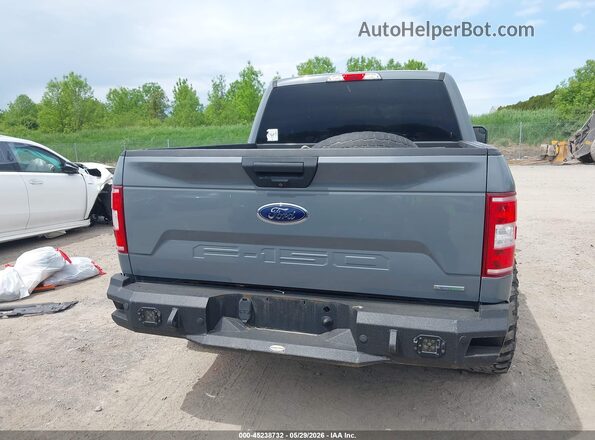 1FTEW1CP6KKE04009 2019 FORD F150 Серый 